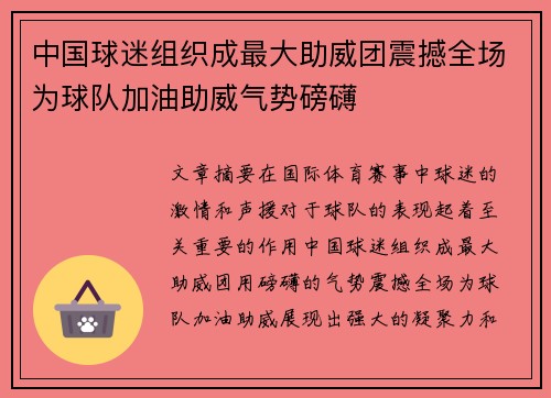 中国球迷组织成最大助威团震撼全场为球队加油助威气势磅礴 中国球迷组织成最大助威团震撼全场为球队加油助威气势磅礴