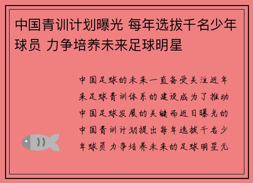 中国青训计划曝光 每年选拔千名少年球员 力争培养未来足球明星 中国青训计划曝光 每年选拔千名少年球员 力争培养未来足球明星